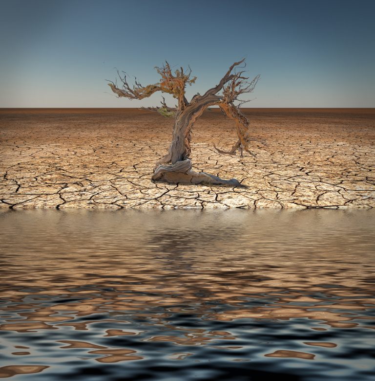 On the First Part of the journey Trusting God in Bitter Waters